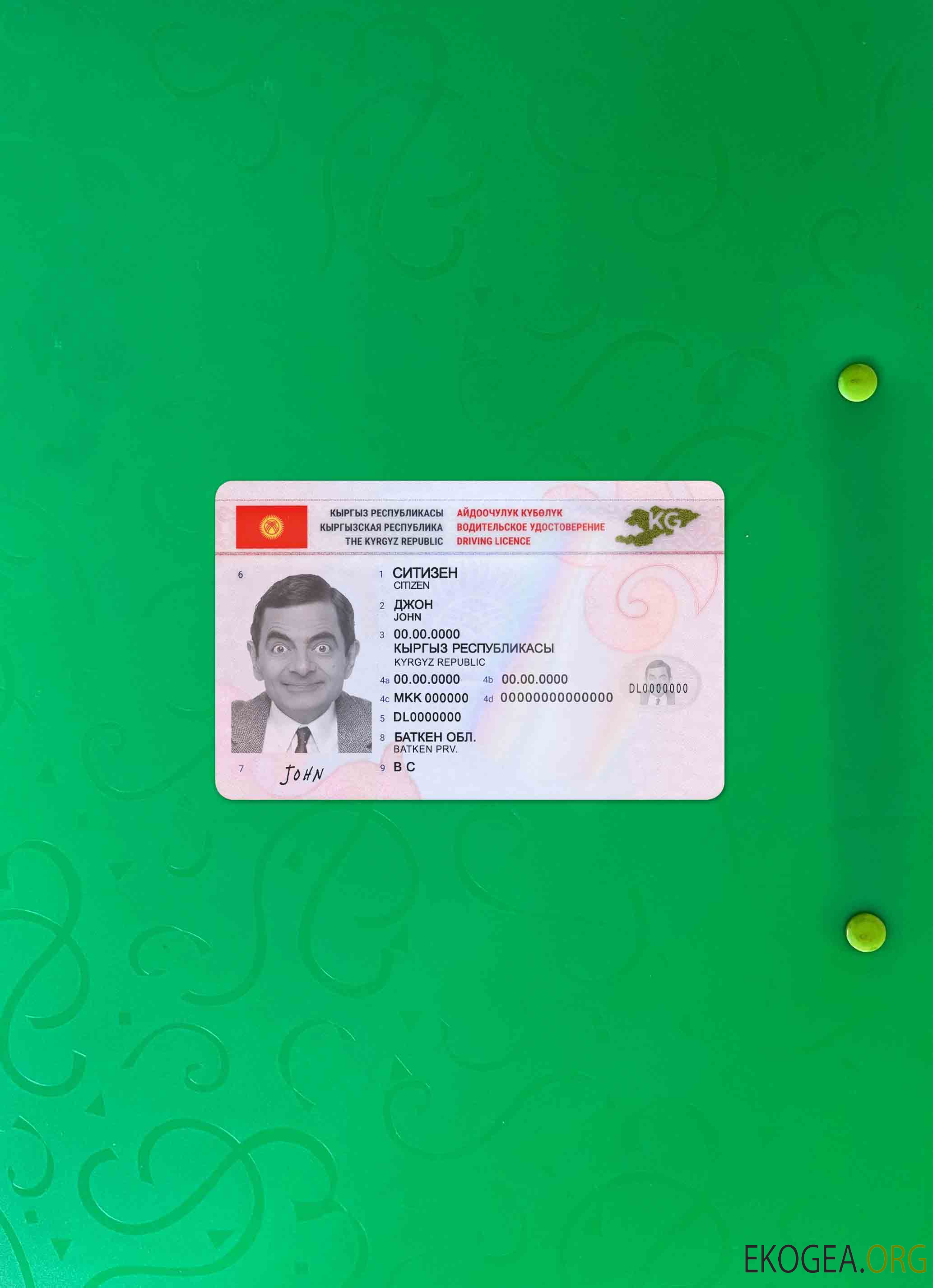 Permis de conduire au Kirghizistan 2019 présent photolook AVANT